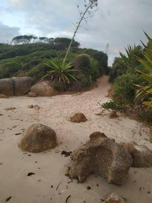 Apto 80M Da Praia Grande Vista Mar! Governador Celso Ramos Exterior foto